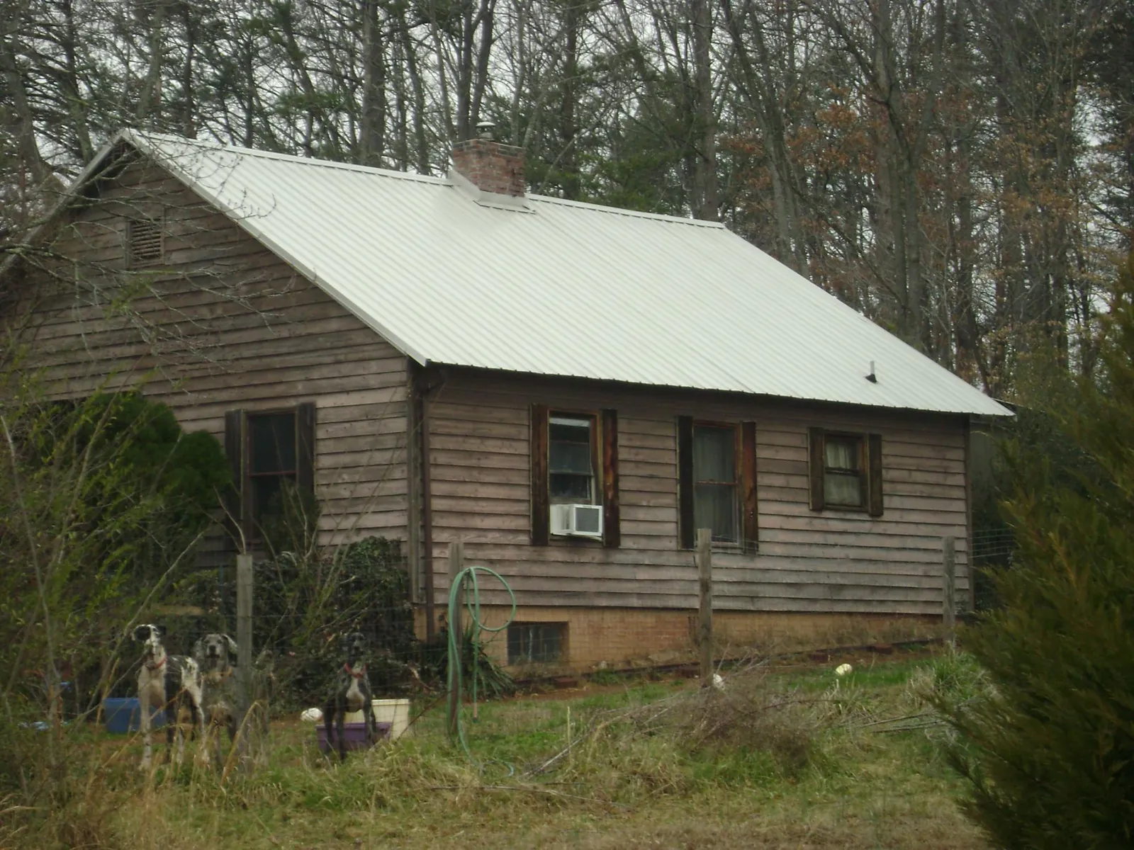 White metal roof on an old wood sided farmhouse, from a Asphalt Shingle Roof Repair job in Bainbridge